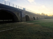 img-5558.jpg